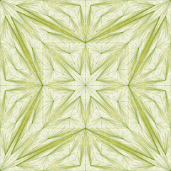 Jos Vromans | Artwork | Triangle Subdivision mint number 1